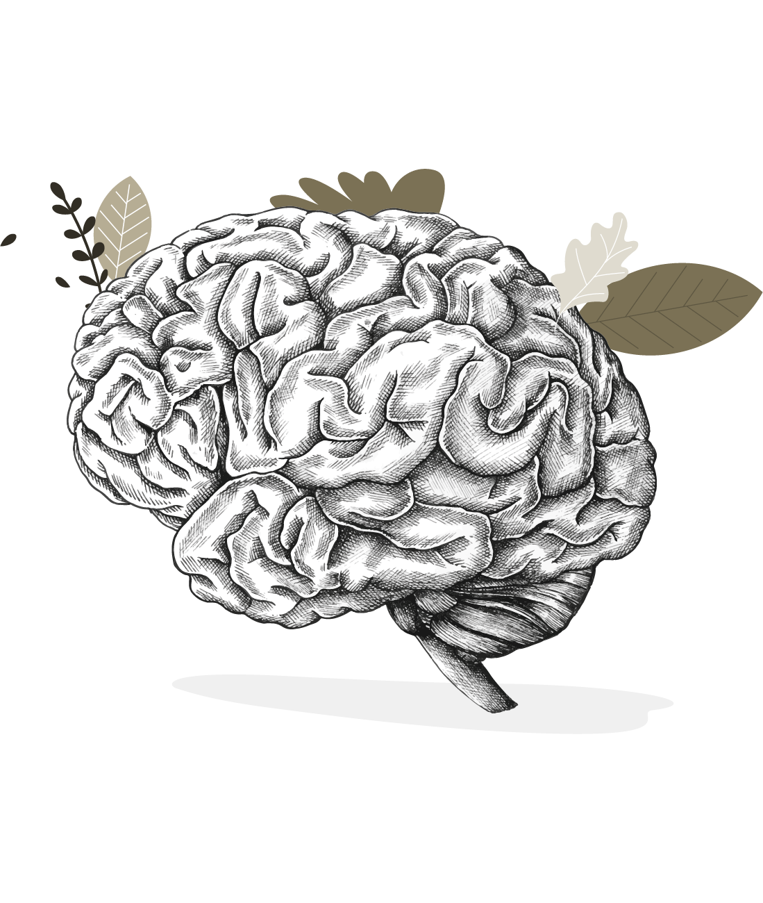Data Science & AI